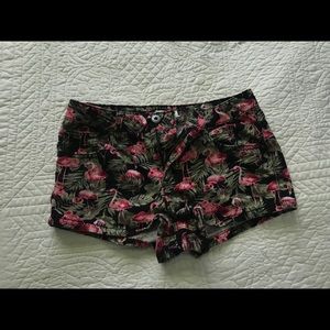 Flamingo shorts mid rise